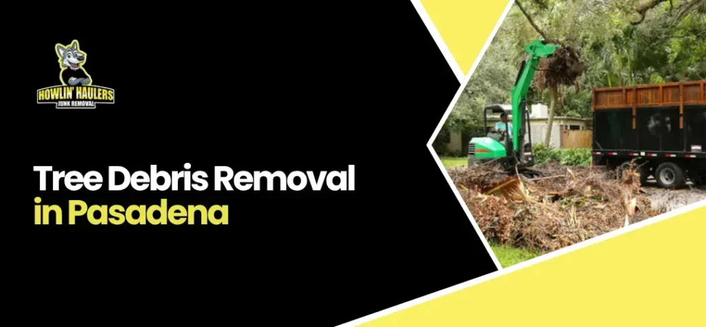Tree Debris Removal Pasadena