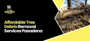 Tree Debris Removal Services Pasadena