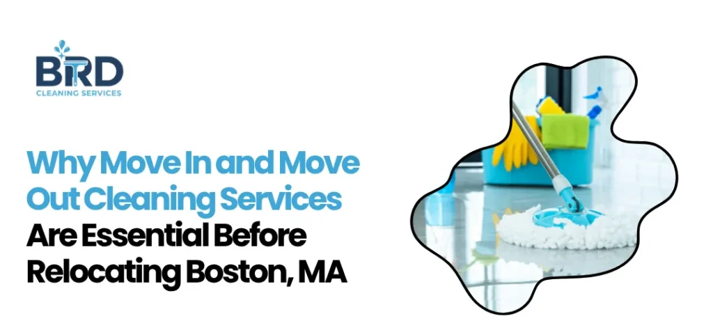 Move In and Move Out Cleaning Services