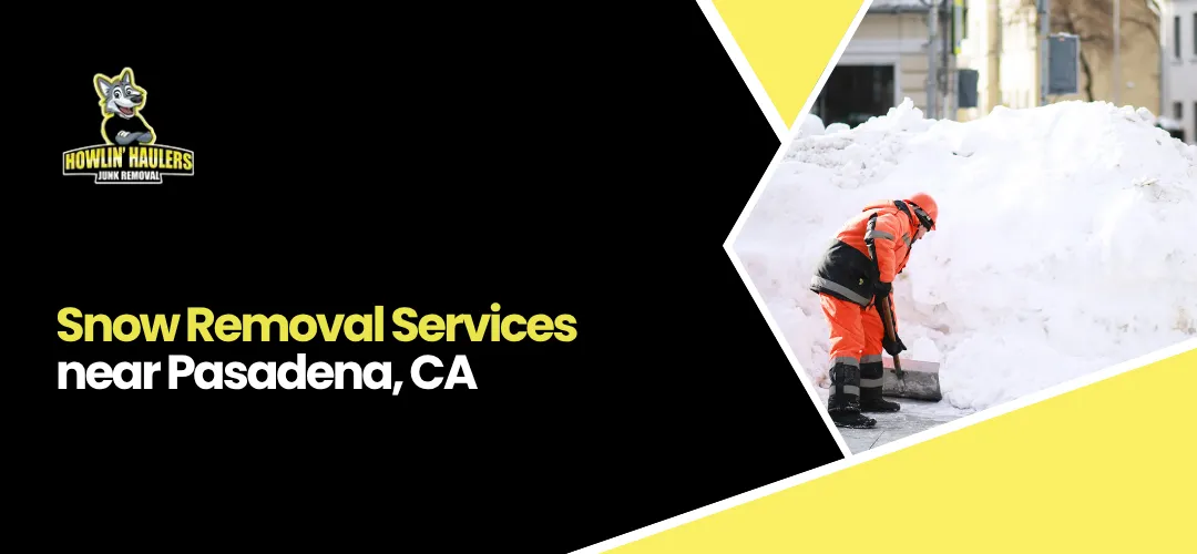 Snow Removal Services