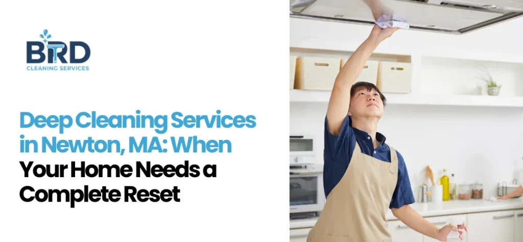 Deep Cleaning Services in Newton MA