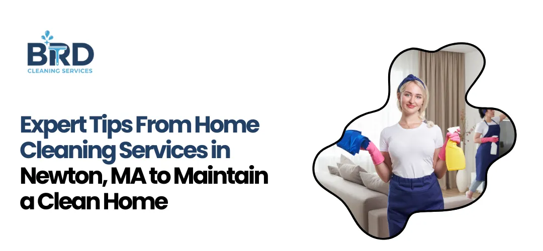 Home Cleaning Services in Newton, MA