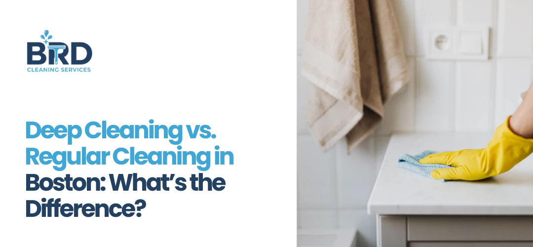 home cleaning services Boston MA