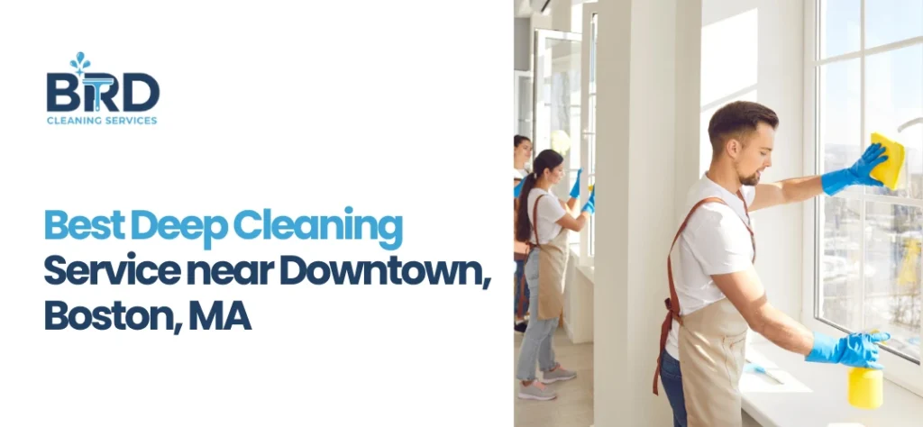 Deep cleaning services Downtown Boston, MA