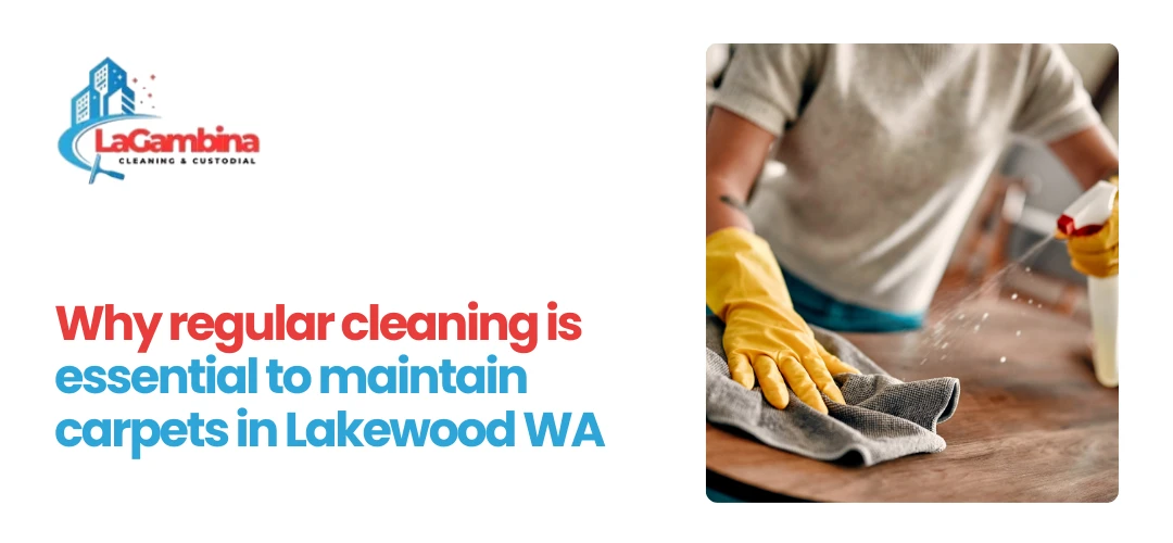 clean carpet Lakewood, WA