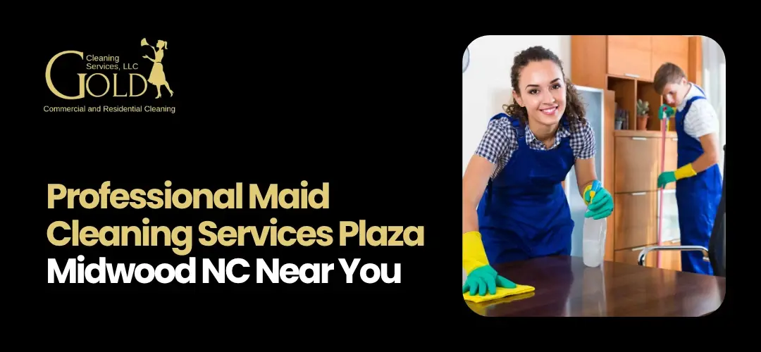 Cleaning Services Plaza Midwood NC