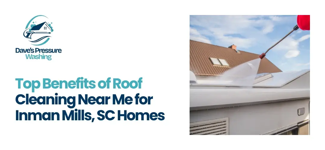 Roof Cleaning Near Me