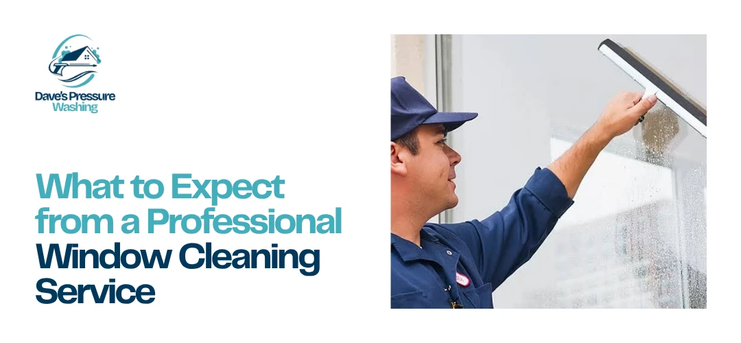 Window Cleaning Service