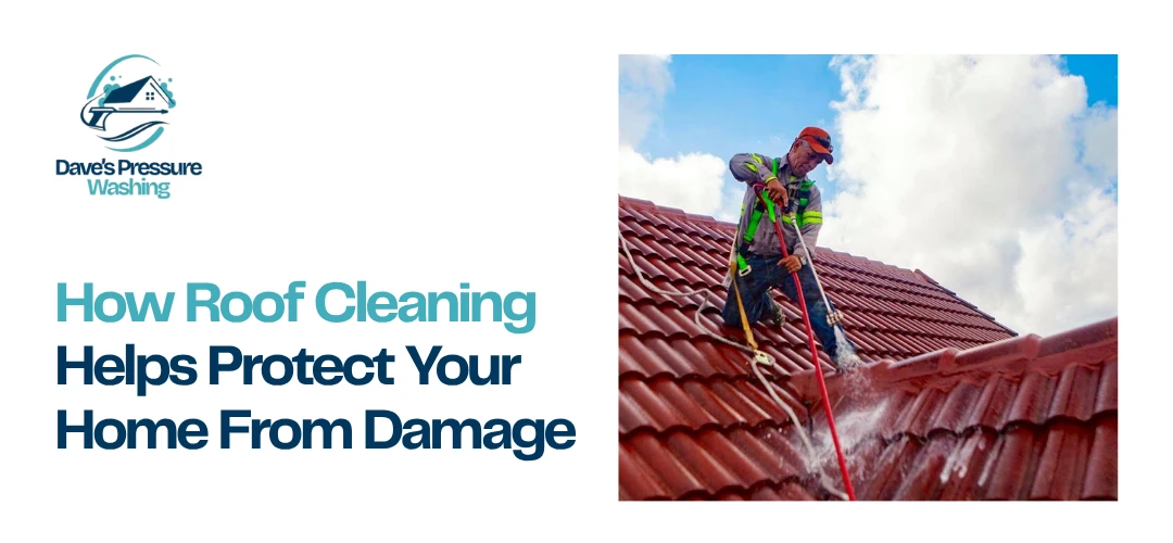 Roof Cleaning Spartanburg SC