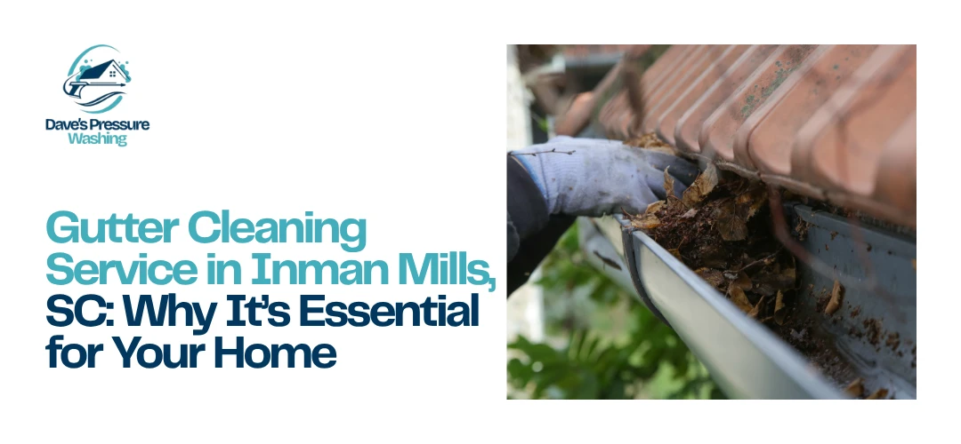 Gutter Cleaning Service