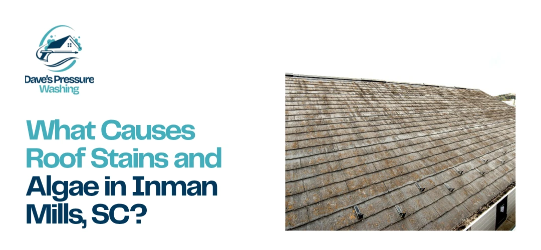 roof cleaning near me Inman Mills, SC